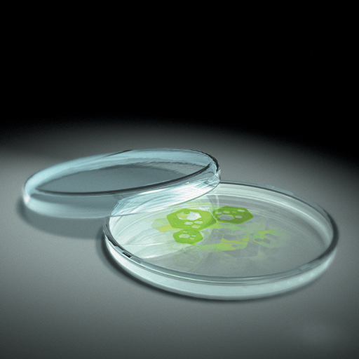 SonicPetridish