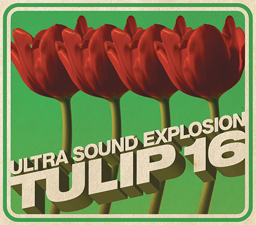 Tulip16